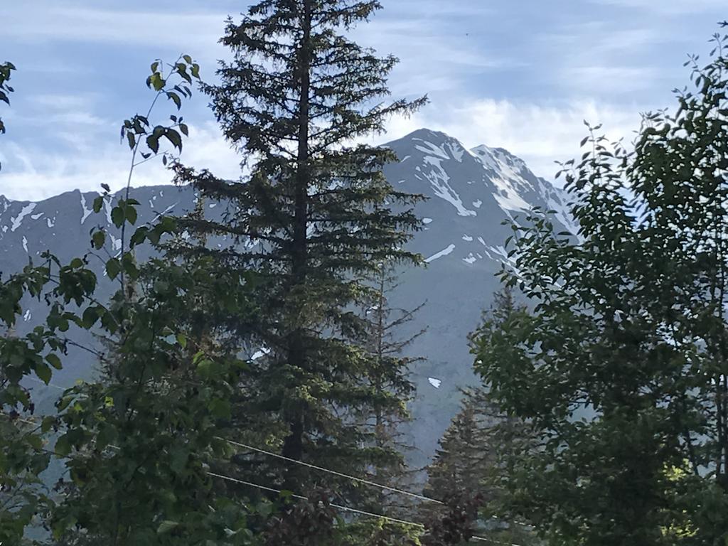 Resurrection River Rentals Seward Extérieur photo